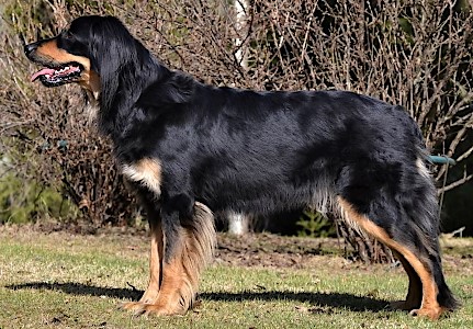 Sissi