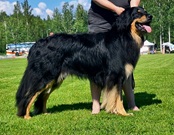 Kimi Vom Bagalutenhof